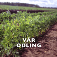 Ekologisk närodlade