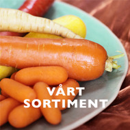 Våra produkter