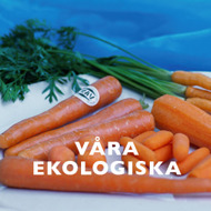 Ekologiska grönsaker och morötter